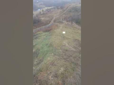 лиса гора - YouTube