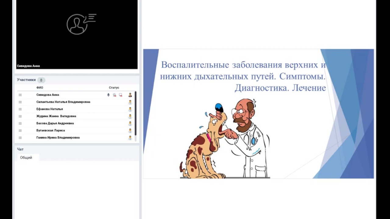 Воспалительные заболевания верхних и нижних дыхательных путей. Симптомы ...