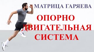 Опорно Двигательная Система🏃‍♀️ Матрица Гаряева💠 Musculoskeletal System 🏃‍♀️ Matrix Garyaev