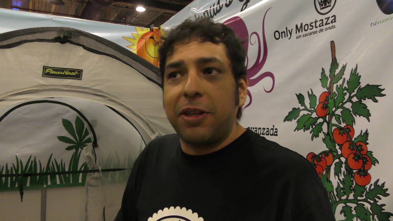 Octopus's Garden EXPOWEED Mexico City