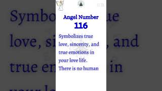 Celebrity Angel Number 116 Spiritual Meaning #shorts Net Worth