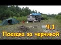 Семья Бровченко. Поездка за черникой в Малое Гол. на УАЗе. (1 ч.) Сбор смородины, друзья. (08.16г.)