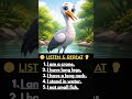 Listen and Repeat 🐦 | 5 Easy English Sentences about Crane | English Shorts