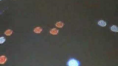 reacTopos for Reactable