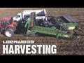 Lockwood Harvesters 2017