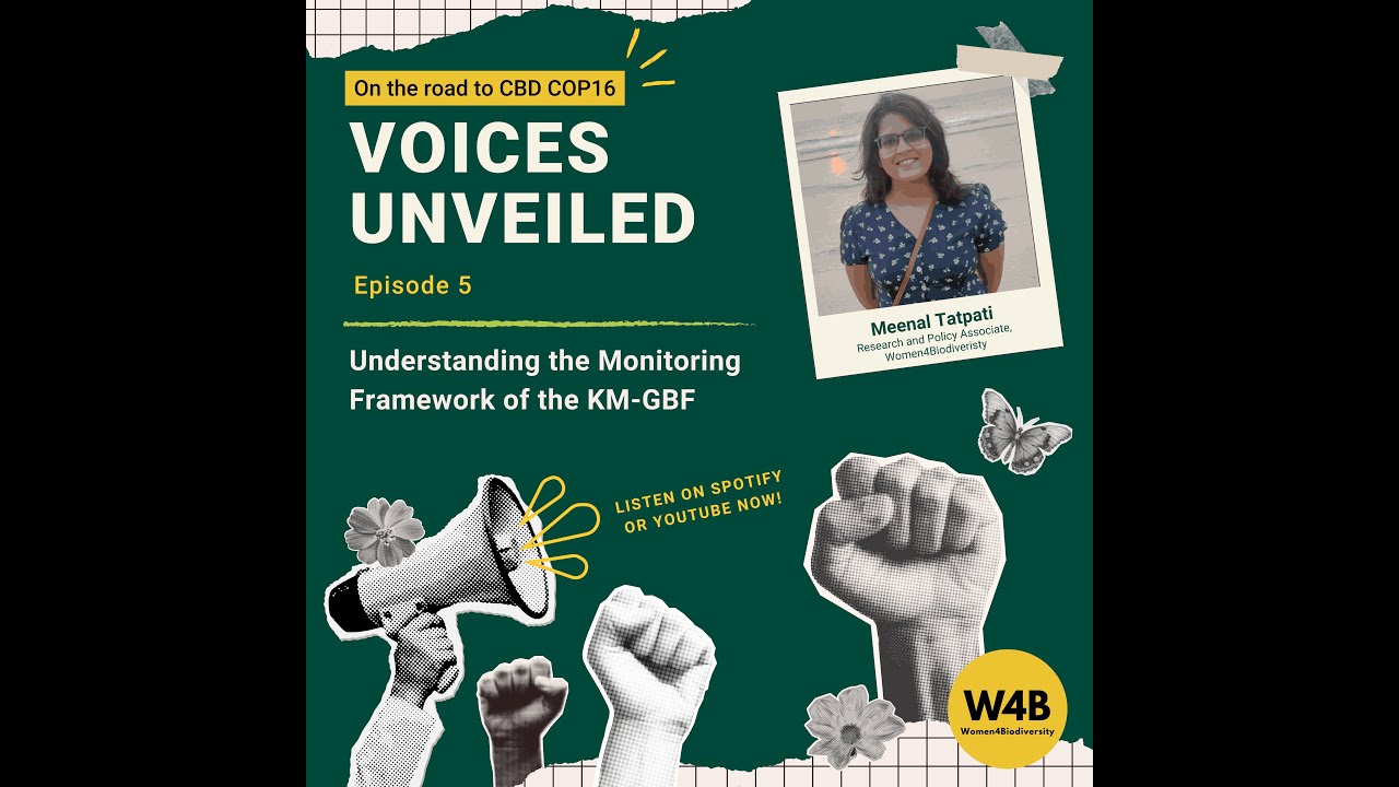 Voices Unveiled EP 5: Understanding the Monitoring Framework of the KM-GBF