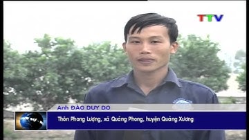 Thực trạng công tác quản lý chất lượng vật tư nông nghiệp và chất cấm trong chăn nuôi