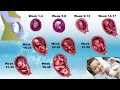 Welcome to your journey of being pregnant!