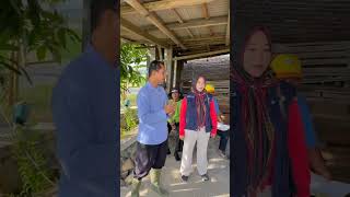 padi varietas INPARI 42 Tahan Hama Wereng batang coklat!! #padi #padisehat #agriculturefarming