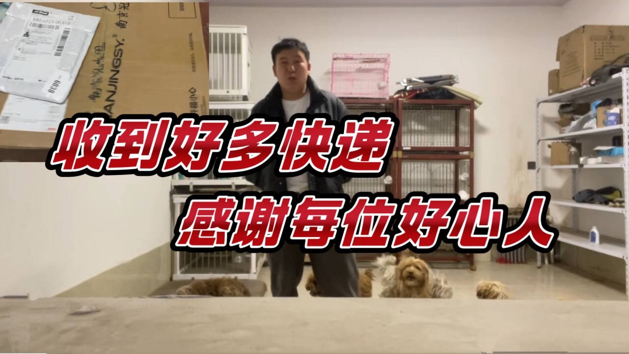 2026-2-26 Stray dog home 刚过完年就收到了好多快递，我在这里感谢每一位好心人的支持。