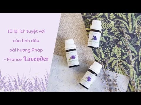 Video: Tinh Dầu Oải Hương - Lợi ích Và ứng Dụng