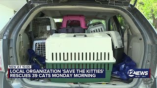 Local organization, 'Save the Kitties,' rescues 39 cats from hoarding situation in Derby