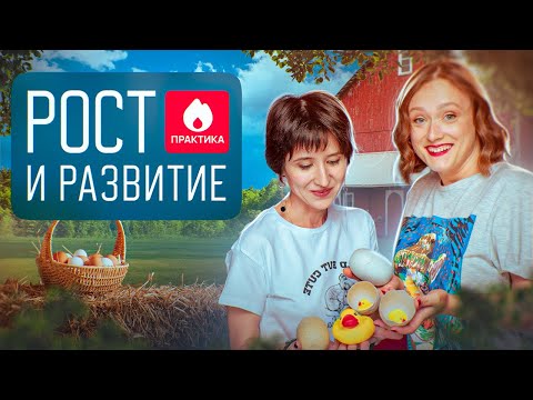 Практика: Митоз, мейоз, гаметогенез и онтогенез | ЕГЭ-2024 по биологии