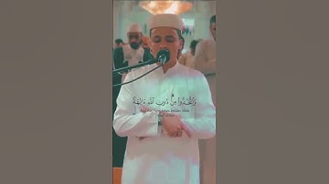 أفرأيت الذي كفر بآياتنا وقال لأوتين مالا وولدا - القارئ { عبدالعزيز سحيم }