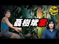 【小烏說案】一場中國司法界的奇觀！是里程碑？還是恥辱柱？聶樹斌案始末[腦洞烏托邦 | 小烏 | Xiaowu]