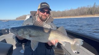 Casting Plastics For Rainy River Walleyes (2024)