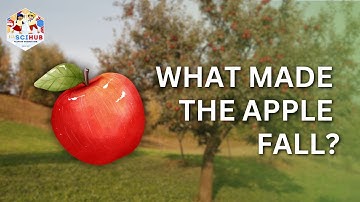 Gravity Explained: From Newton to Einstein _ Physics for High School