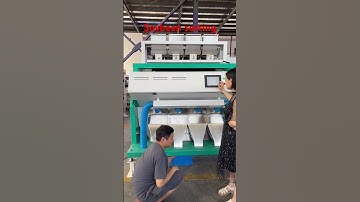 4 chutes color sorter for soybeans #bean #colorsorter