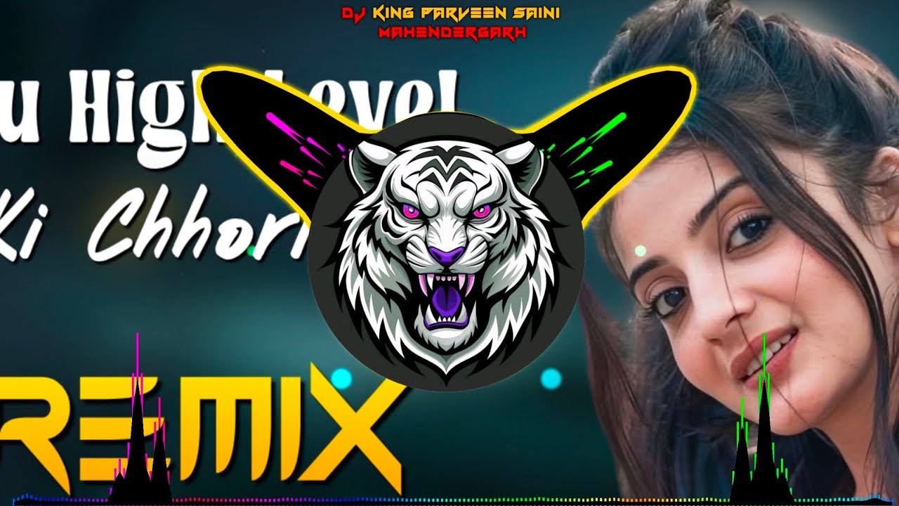 Tu High Level Ki Chhori Se Dj Remix | High Gain + Reggaeton Vibration |Dj Parveen Saini Mahendergarh