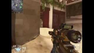 Black Ops 2 sick  silent tomahawk kill