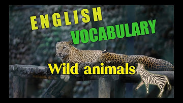 Wild Animals English vocabulary. Listen & repeat practice 🐅🦁🐼🐢🦧 #vocabulary #wildanimals