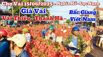 Chợ Vải -15/06/2025,Giá Vải Tại Ngã Ba Nghĩa Hồ - Lục Ngạn - Bắc Giang Việt Nam,