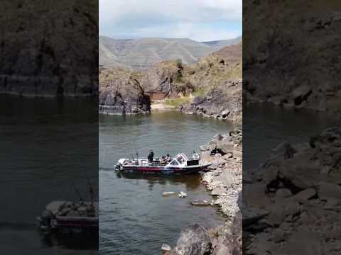 The Snake River in spring is epic #fishing #fish #idaho #river #snakeriver #sturgeonfishing #wild