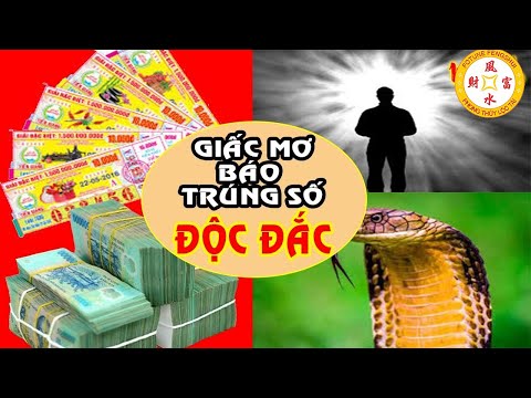 Video Giấc Mơ Báo Trước Trúng Số Độc Đắc 100 Người Thì 99... - youtube