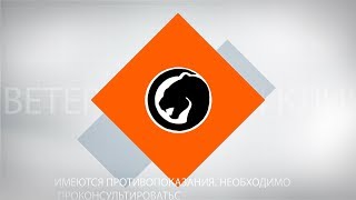 Реклама ветклиники в Котовске