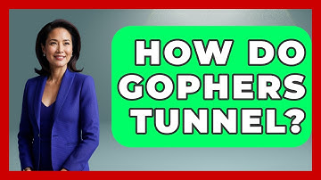 How Do Gophers Tunnel? - Insects and Invaders