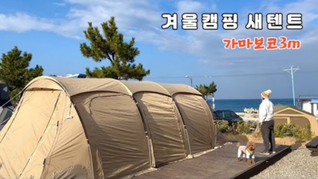 따뜻했던 새해 첫 겨울캠핑❄️너무 예쁜 새텐트 가마보코❗1박 2만원ㅣ동해 여행🐶애견동반캠핑ㅣ삼척 장호비치