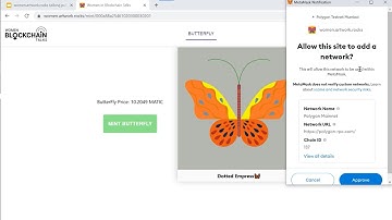 How to add Polygon network settings to MetaMask automatically