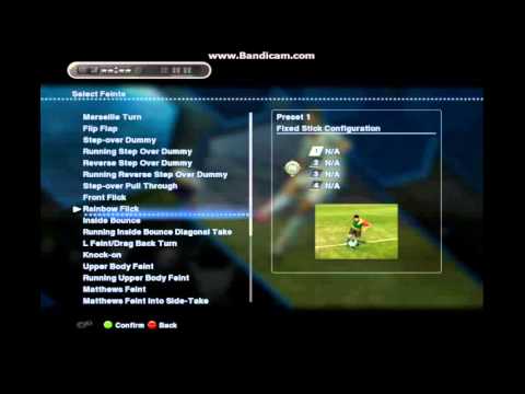 ფინტების დაყენება პეს 2013-ში