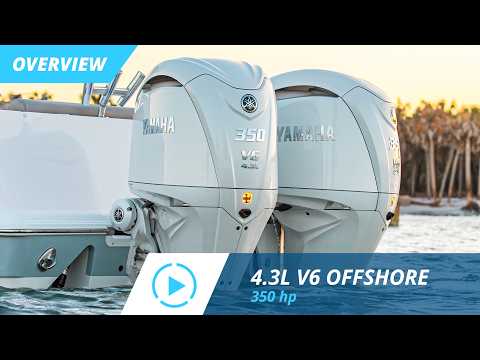 4.3L Offshore F350 | Overview