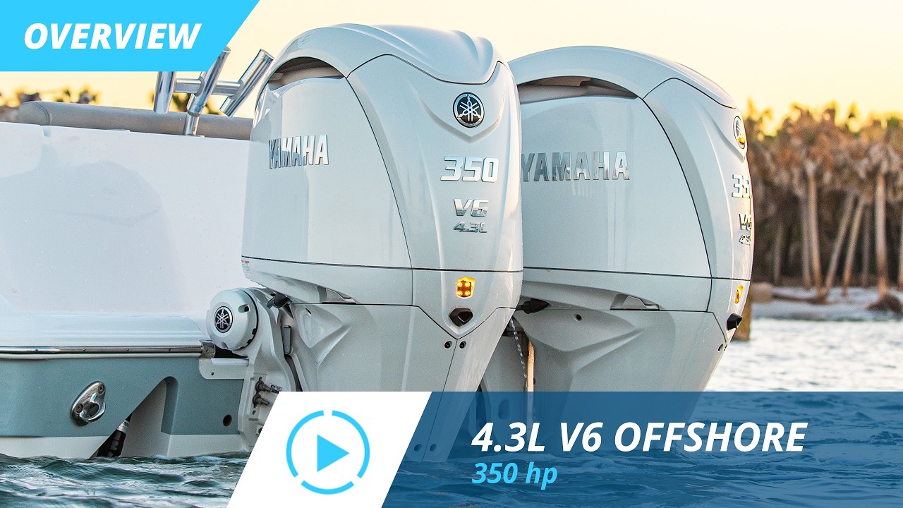4.3L Offshore F350 | Overview