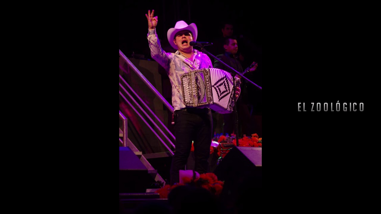 ALFREDO OLIVAS / EL ZOOLÓGICO / EN VIVO YouTube