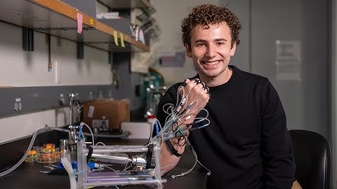 Soft robotics controlled by programmable soft valves for digital and analog control