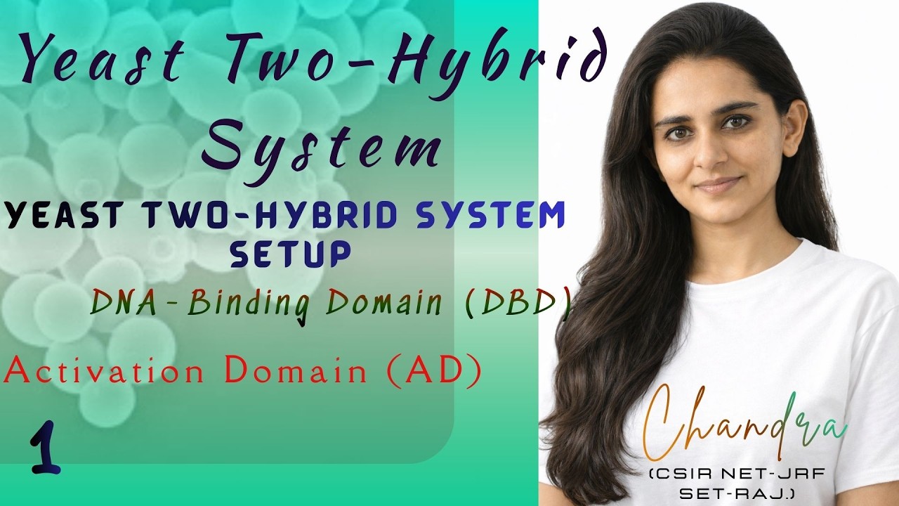 Part 1– Yeast Two-Hybrid Assay & Setup | DNA-Binding Domain(DBD) & Activation Domain(AD)-Bait & Prey