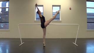 Audition Video 2017