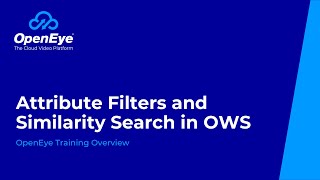 OWS Attribute Filters and Similarity Search: Find People and Vehicles Faster with AI OWS Attribute Filters and Similarity Search: Find People and Vehicles Faster with AI