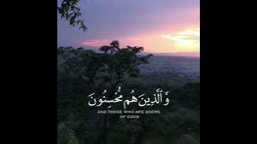 القارئ ماهر المعيقلي تلاوة خاشعة