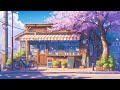 Fleurs de cerisier  lofi morning  spring lofi pour ressentir la dernire brise du printemps