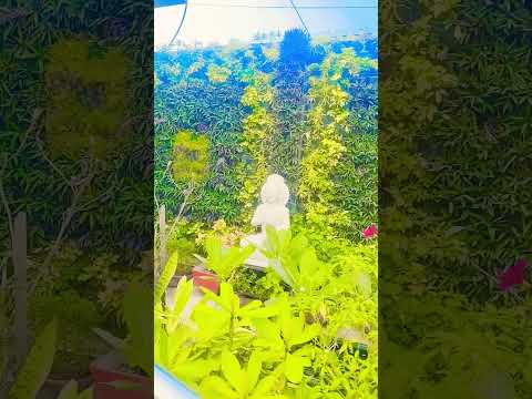 Song Movie Hindisong Shubhamjaikarghazipuri Bhojpuri Khushbughazipuri Dance Shubhgautam