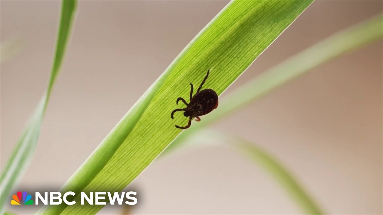 Emergency room visits for tick bites on the rise