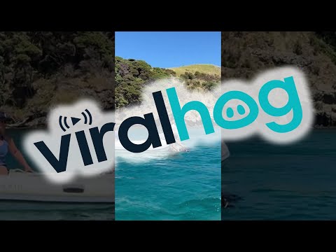 Boaters Rescue Stranded Calf || ViralHog