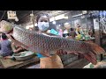 Wow, It is very big river fish I have never seen / 2 recipes with big river fish