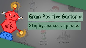 Staphylococcus species (Characteristics, Clinical complications, Differences)
