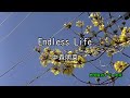 2026-4-30 Endless Life/中森明菜