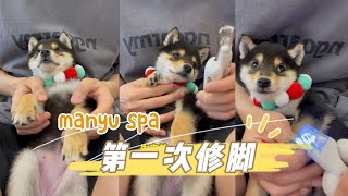 曼玉Manyu狗生第一次脚部Spa，从抗拒到接受只需要1秒