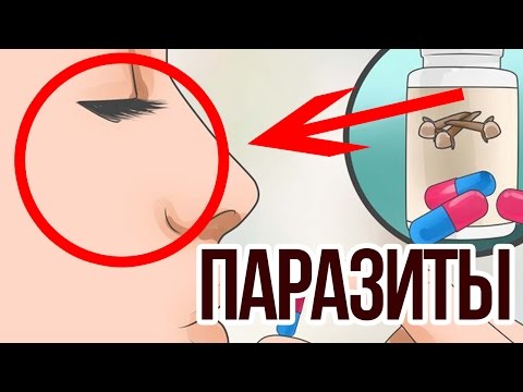 Таблетки от глистов. Какие выбрать?